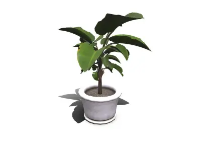 Indoor Plant Low-poly PBR Low-poly 3D model