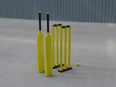 Modern Minimalistic Indoor Cricket Set 3D print model