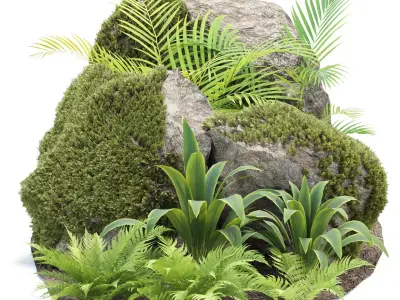 Rock and Tropical Plants 3D Model Collection Vol 297 Low-poly 3D model