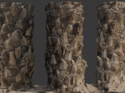Palm Tree Trunk 3D Scan Low-poly 3D model
