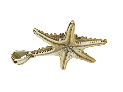 3d Italian Starfish Pendant Necklace charm  3D print model