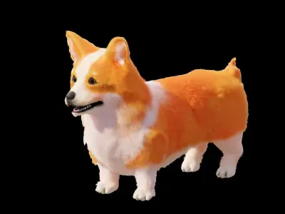 Corgi Dog 3D model