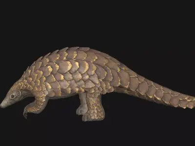 Pangolin Low-poly 3D model