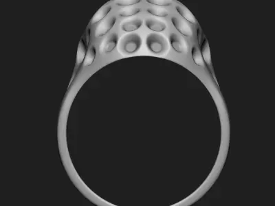 Skull ring jewelry for Bikers vol16 3D print model