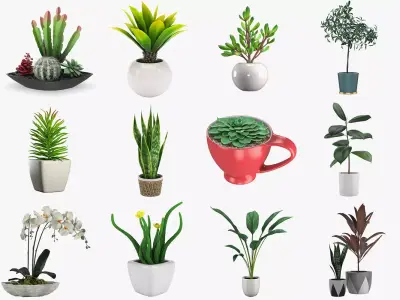 Pot Plant 12 3D models 3D model