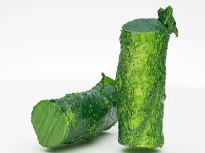 Apricot firewood log 3d scan  3D model