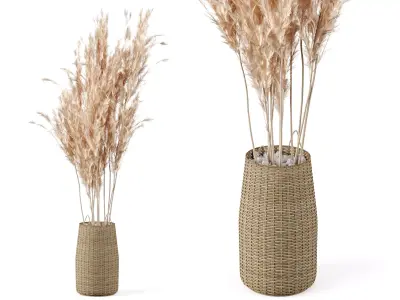 Pampas Decoration with Natural basket 3D model