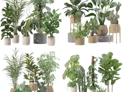 20 Photorealistic Flowers for Interiors - set 202 206 210 212 3D Model Collection