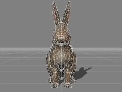 rabbit v1 animal Low-poly 3D model