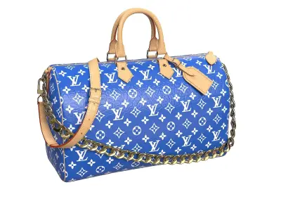 Louis Vuitton Pharrell Williams Millionaire Speedy Bag Low-poly 3D model