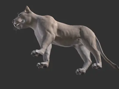 Lioness  Low-poly 3D model