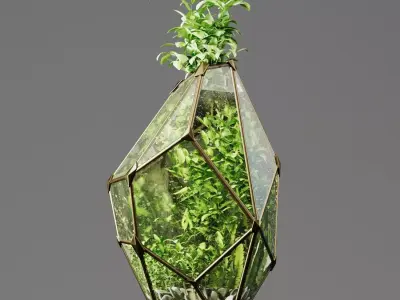 Decorative Fluval Anubias Plant 3D model
