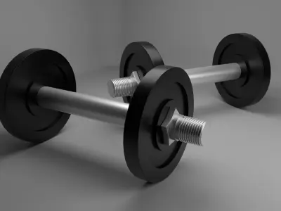 weight pair of dumbbells Free 3D model