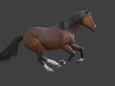 Animated Brown Horse  3D model