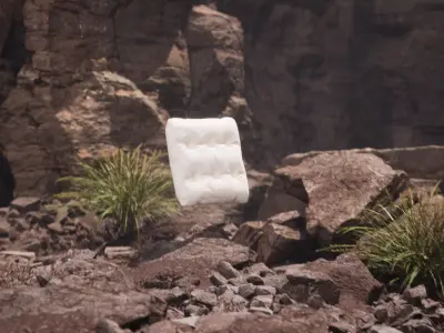 Leather pillow Free 3D model