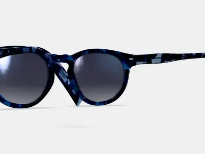 Hayes Sunglasses in Riverbed Tortoise 3D model