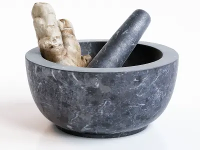 Mortar and Pestle 3D model