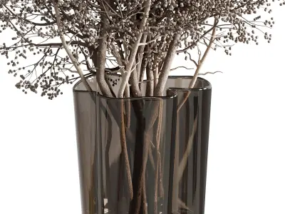 Dry branch Plant in a Glass vase - Bouquet 77 3D model