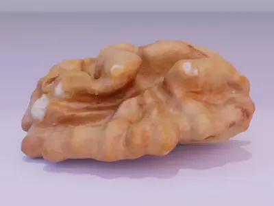 Walnut half kernel 01 high-poly 3D model