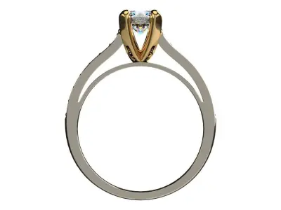 Ring 0247 3D print model