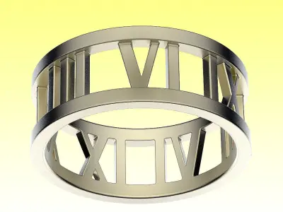 Ring Atlas 3D print model