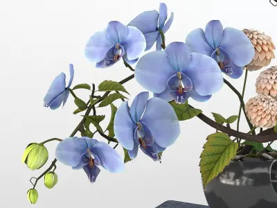 Orchid Flower Ikebana 3D model