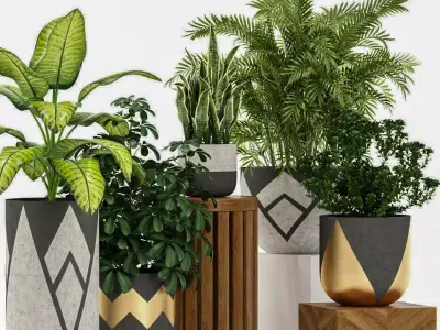 plant potted green Modern combination 3D model