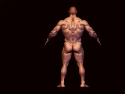 body builder base meash  Low-poly 3D model