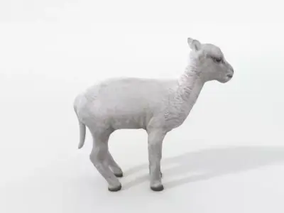 Little Sheep Low-poly 3D model