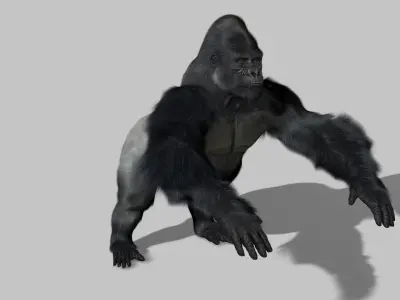 Gorilla 3D model
