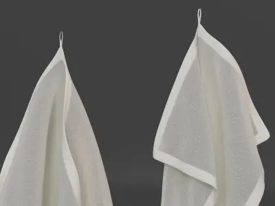 Hanging Towels 3D model