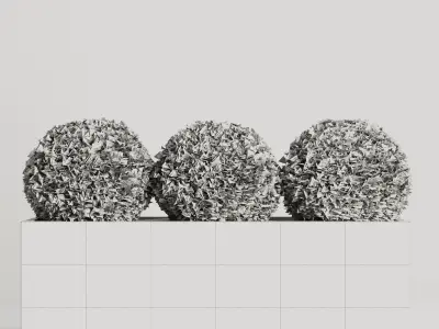 Boxwood Topiary Three Balls 3D model