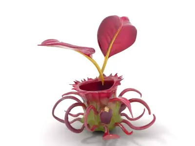Exotic Carnivorous Plant model pack Low-poly 3D model