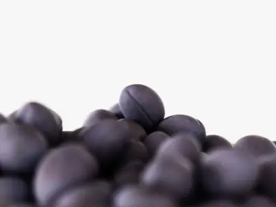 Plums in a vase 3D model