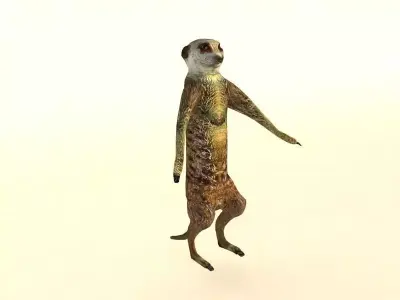 Suricate Meerkat Low-poly 3D model
