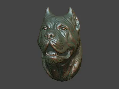 Canne Corso bust version 2 3D print model