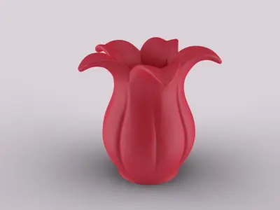 Elegant Lily Vase - Organizer 3D print model