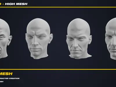 20 Head - High Mesh - Vol 03 3D model