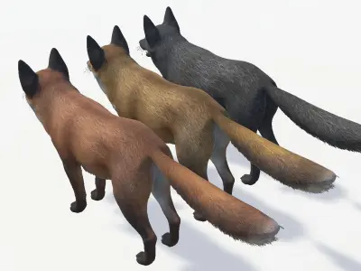 Fox - Male Low-poly 3D model
