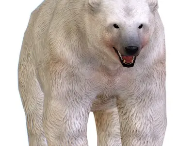 LowPoly Model White Polar Bear Low-poly 3D model