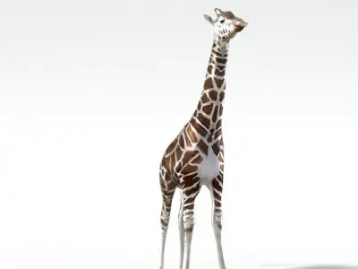 Giraffe Low-poly 3D model