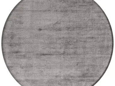 Carpet 6 3D model