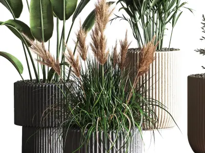 IndoorSetPlant41 two palm plants in pot 3D model