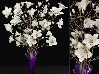 Plant collection hibiscus flower