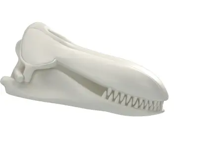 Killer Whale Orca Skull 3D model