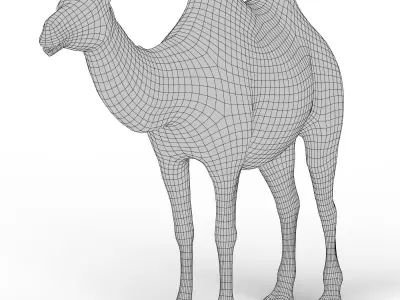 Camel Base Mesh Low-poly 3D model purchase
