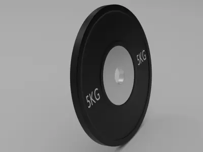 Simple Gym Weight Free 3D model