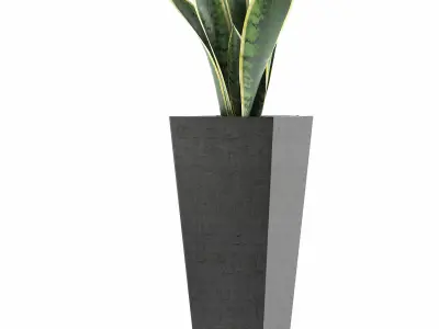 Plants Collection 68 3D model