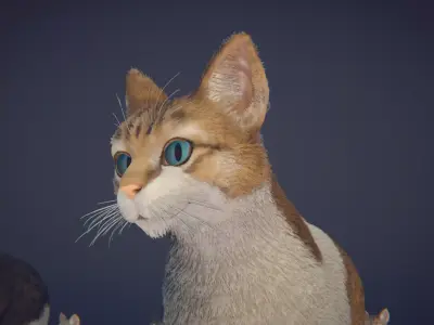 Cat Animset Pro Low-poly 3D model