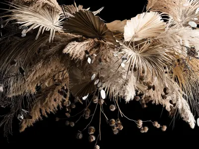 Hanging Bouquet Of Dry Reeds For Decoration 270 3D model